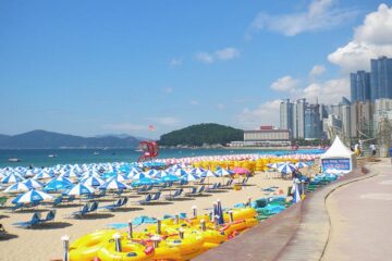 Best Hostels in Busan
